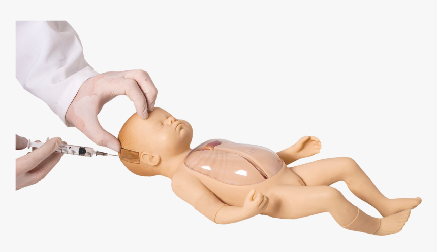 Figurine, HD Png Download