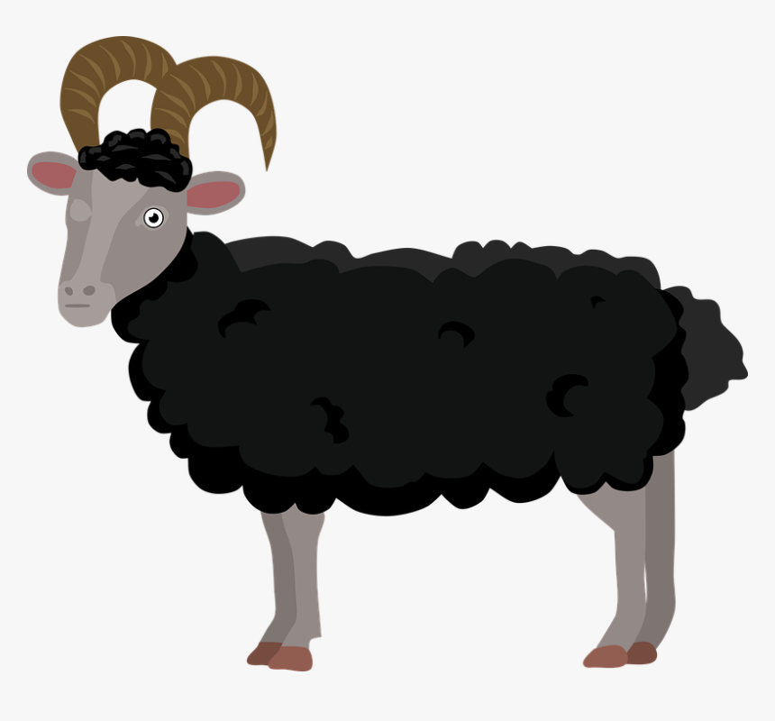 Bighorn, HD Png Download