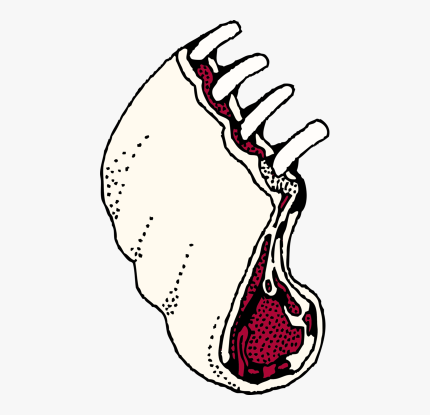 Line Art,head,art - Rack Of Ribs Clip Art, HD Png Download