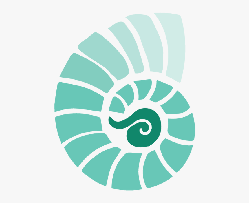 Color Spectrum And Wheel Pattern, HD Png Download