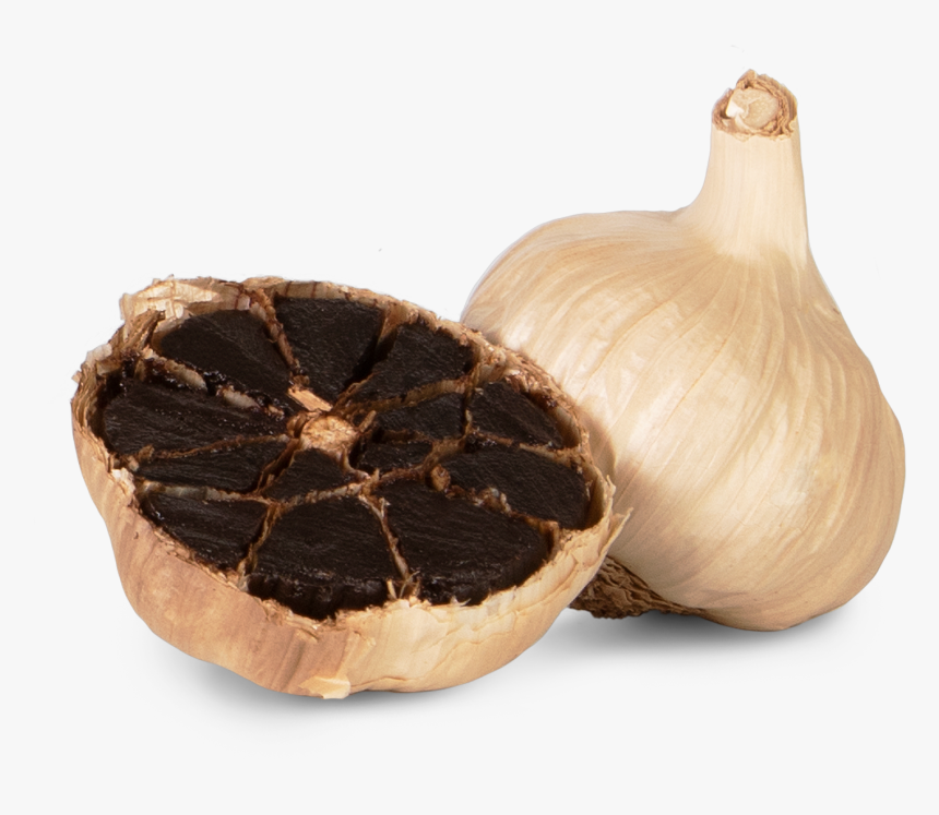 Elephant Garlic, HD Png Download