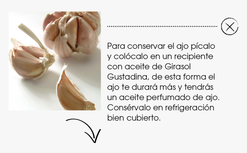 Garlic, HD Png Download
