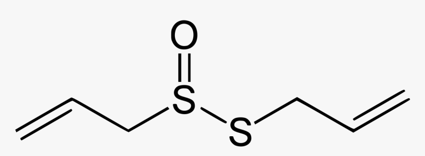 Allicin Png, Transparent Png