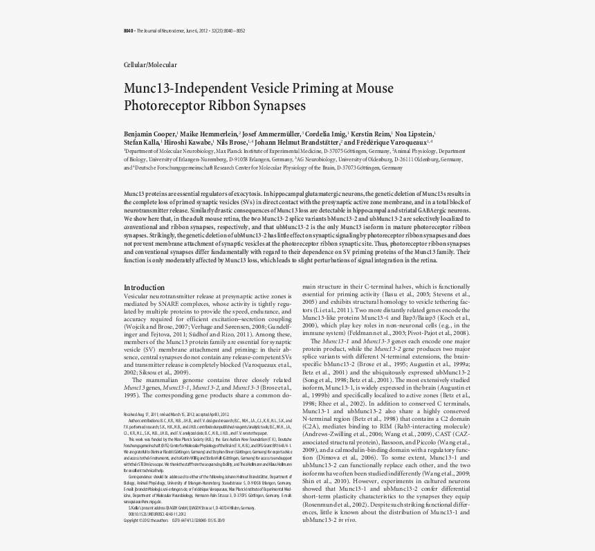 Document, HD Png Download