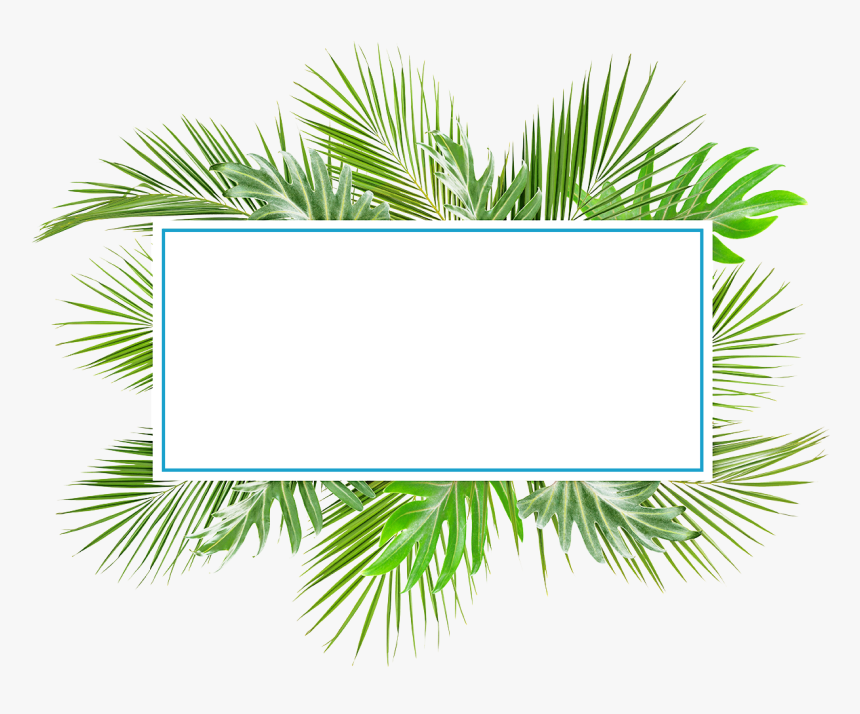 Grass, HD Png Download