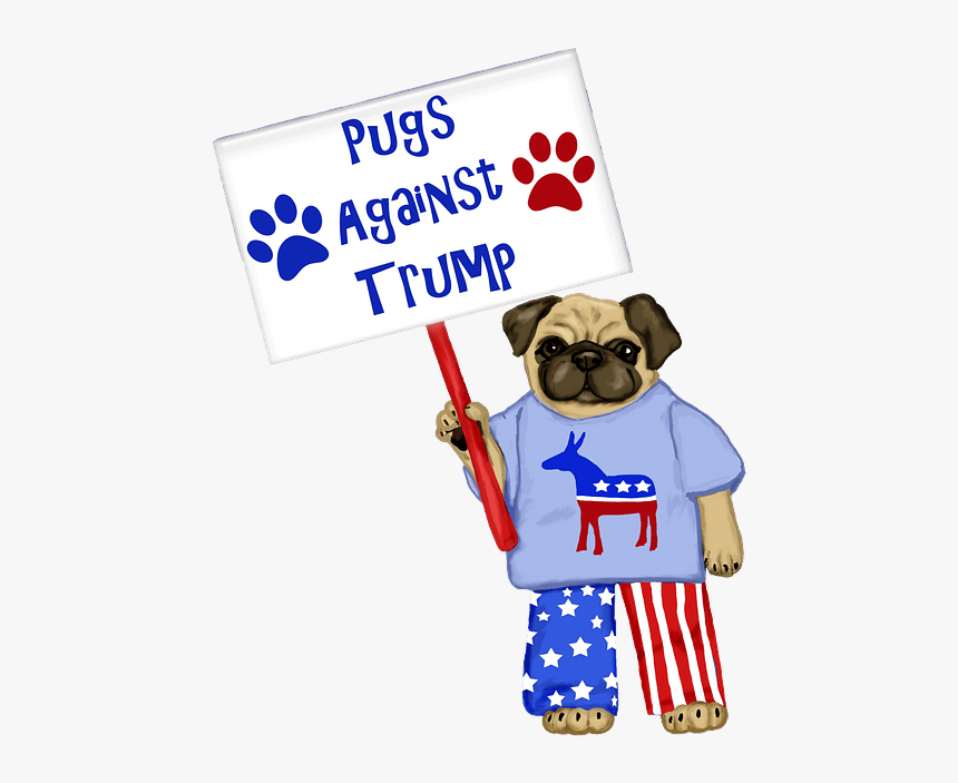 Pug, HD Png Download
