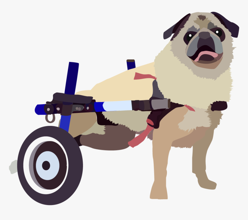 Dog Catches Something, HD Png Download