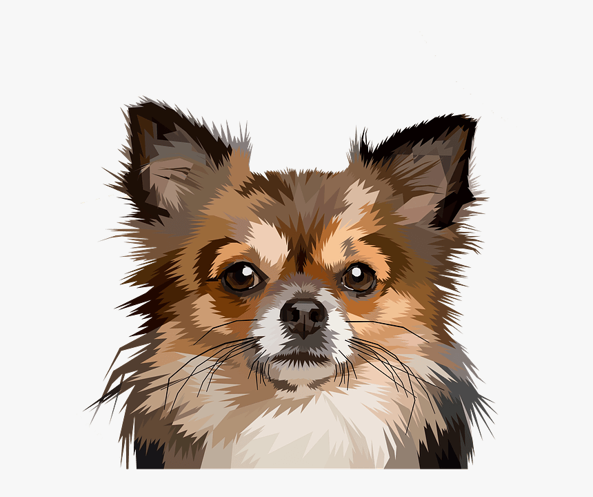 Pop Art Dog Chihuahua, HD Png Download