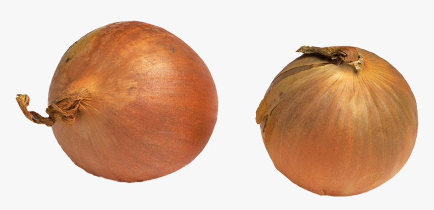 Onion Plant Png, Transparent Png