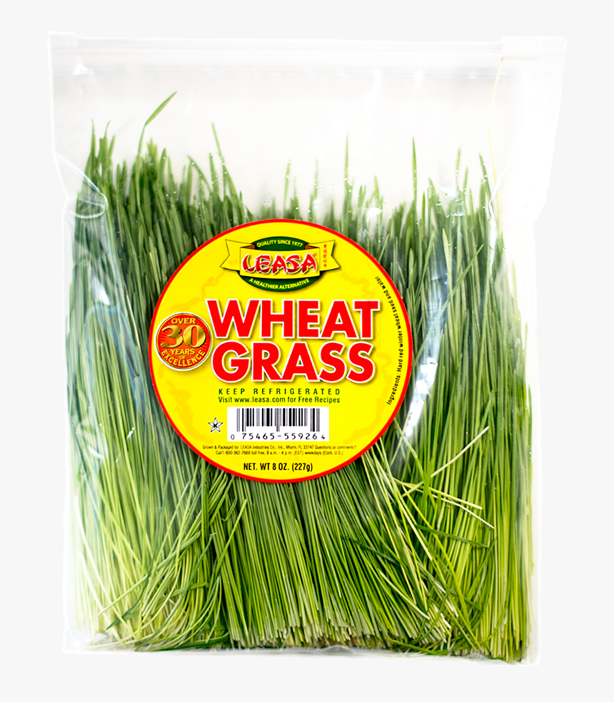 Wheatgrass Without Bg - Leek, HD Png Download