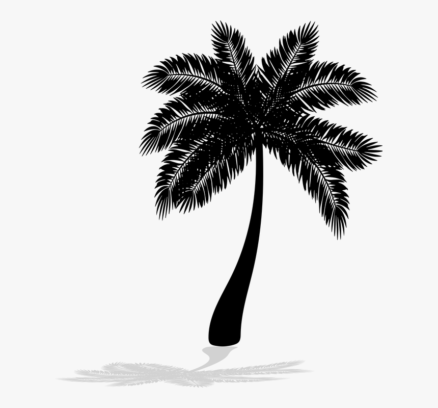 Palm Tree Png Transparent, Png Download