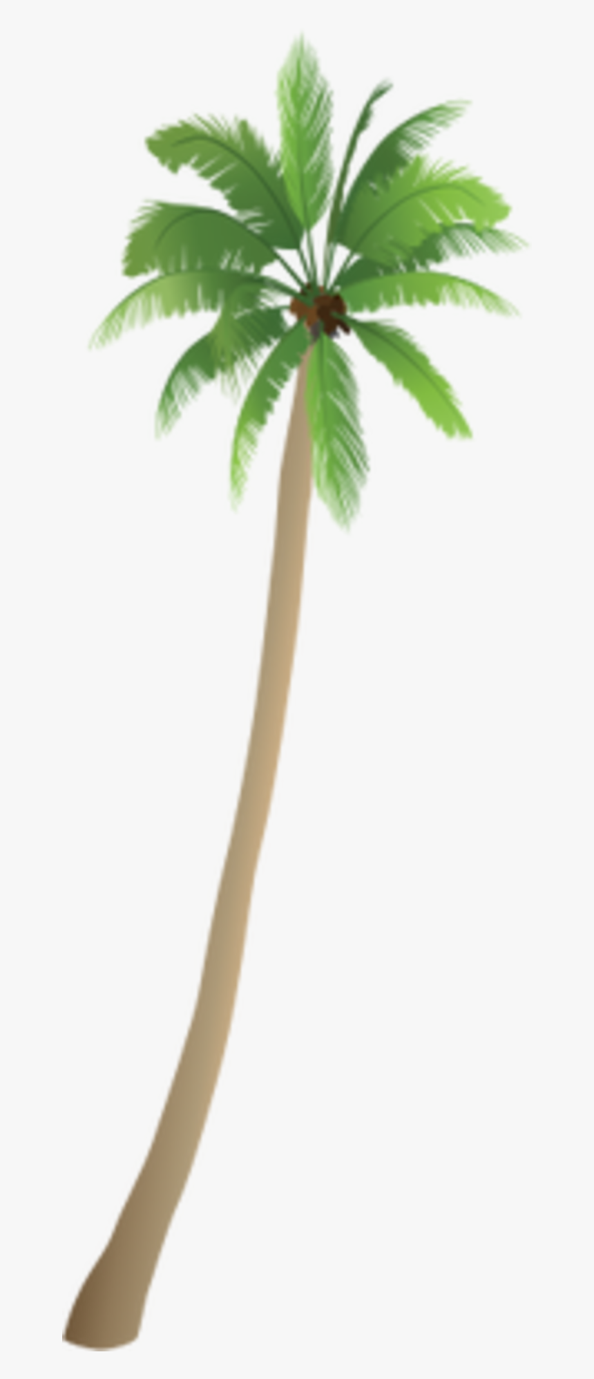 Roystonea, HD Png Download