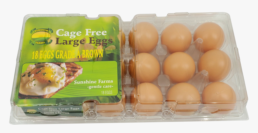 Kiwifruit, HD Png Download