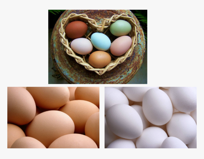 Bielefelder Chicken Egg , Png Download - Chicken Ear Lobes And Egg Color, Transparent Png