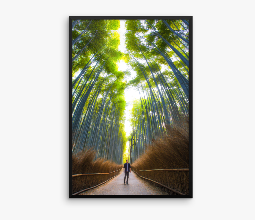 Picture Frame, HD Png Download