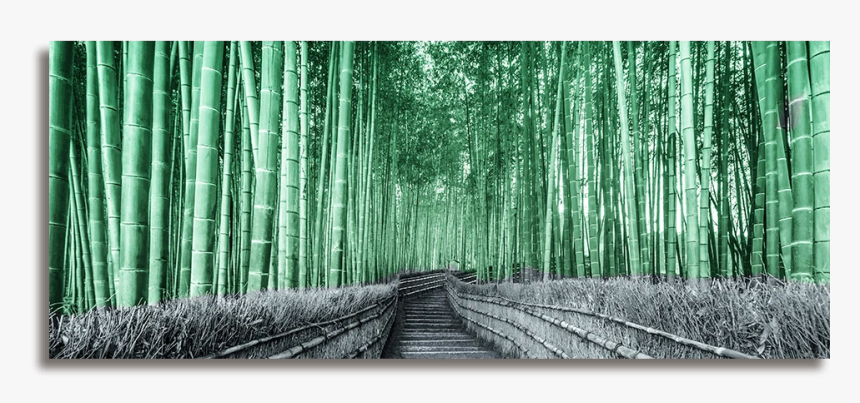 Track, HD Png Download