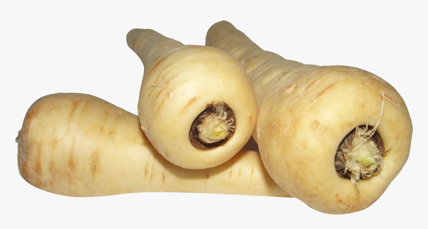 Parsnips Png, Transparent Png