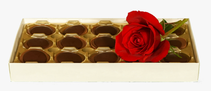 Garden Roses, HD Png Download