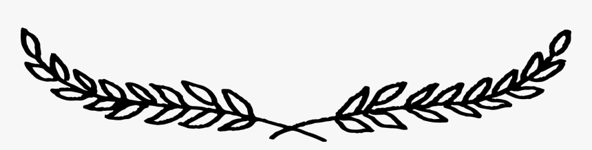 We Ve Used Simple Baubles And Cut Pine Branches To, HD Png Download