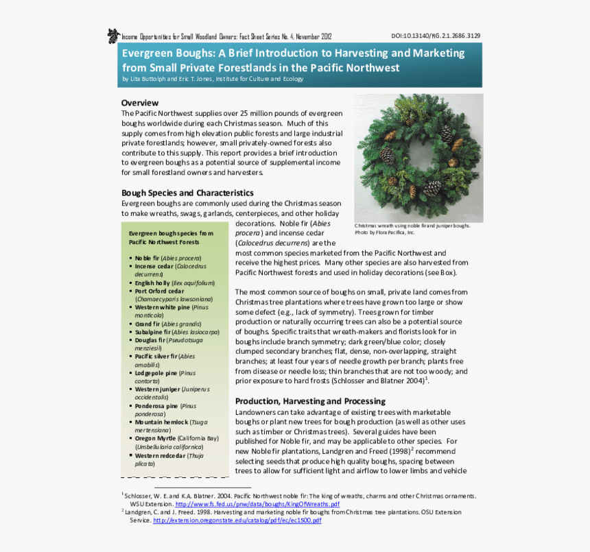 Christmas Wreath, HD Png Download