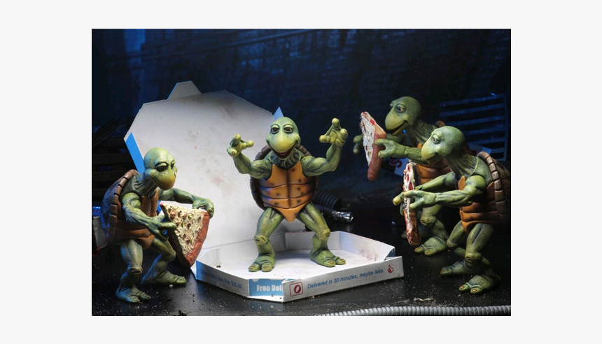 Neca Tmnt Baby Turtles, HD Png Download
