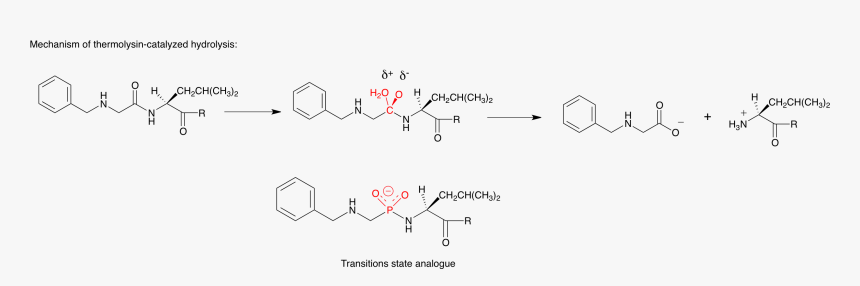 File - Ts3 - Protease Transition State Inhibitors, HD Png Download