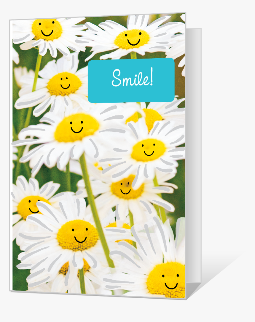 Smile - Chamomile, HD Png Download