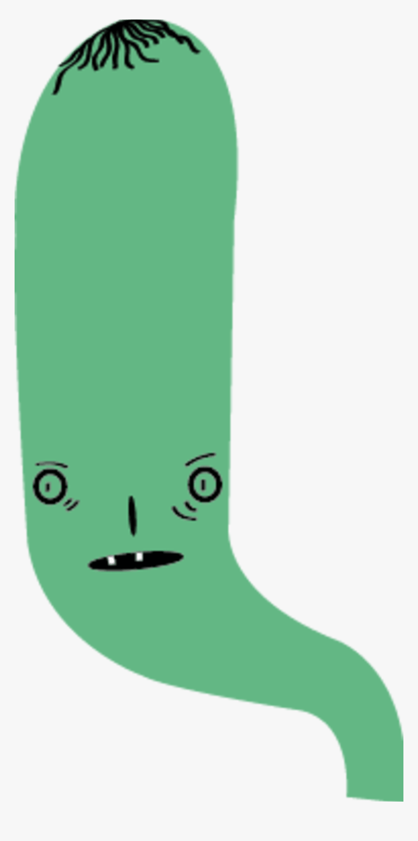 Skateboard Deck, HD Png Download