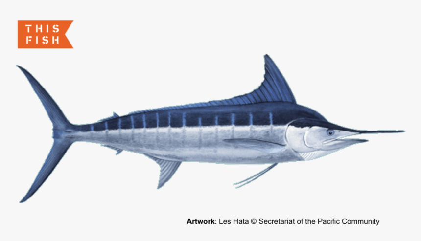 ʻōpelu, HD Png Download