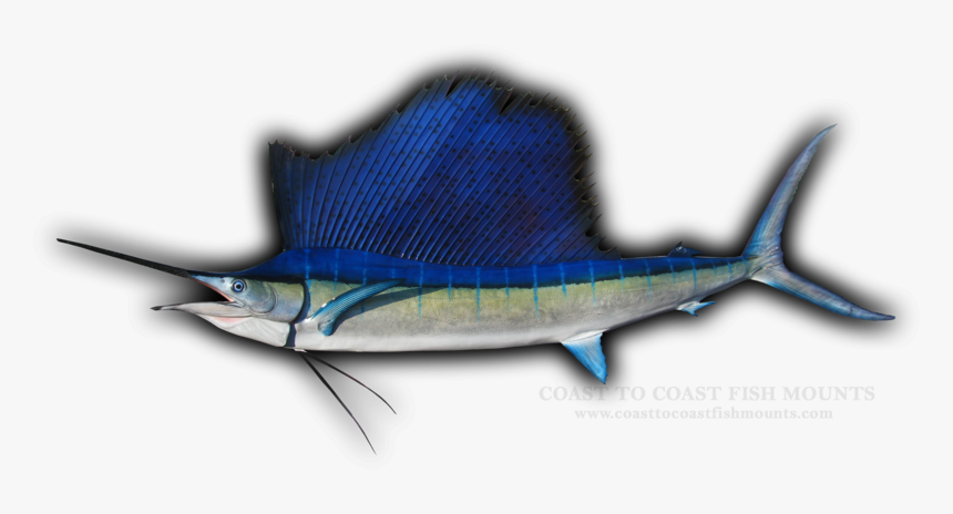 Swordfish, HD Png Download