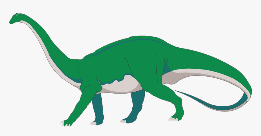 Long Neck Dinosaur Png - Apatosaurus Clipart, Transparent Png
