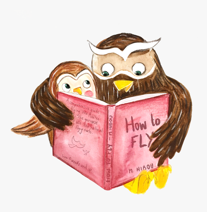 Baby Owl Png, Transparent Png