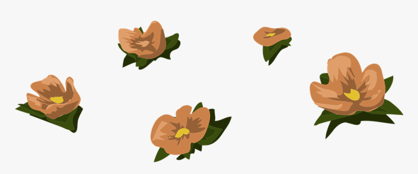 Scattered Flowers Transparent, HD Png Download