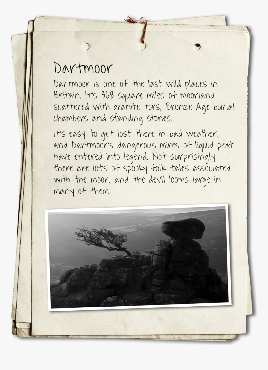 Inspirations Dartmoor - Skull In The Wood By Sandra Greaves, HD Png Download