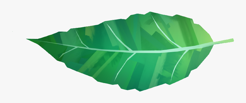 A Tobacco Leaf, HD Png Download