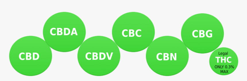 Phytocannabiniods - Circle, HD Png Download