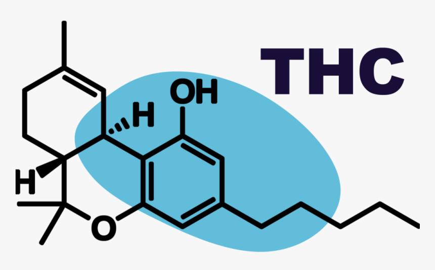 Cannabis Dna, HD Png Download