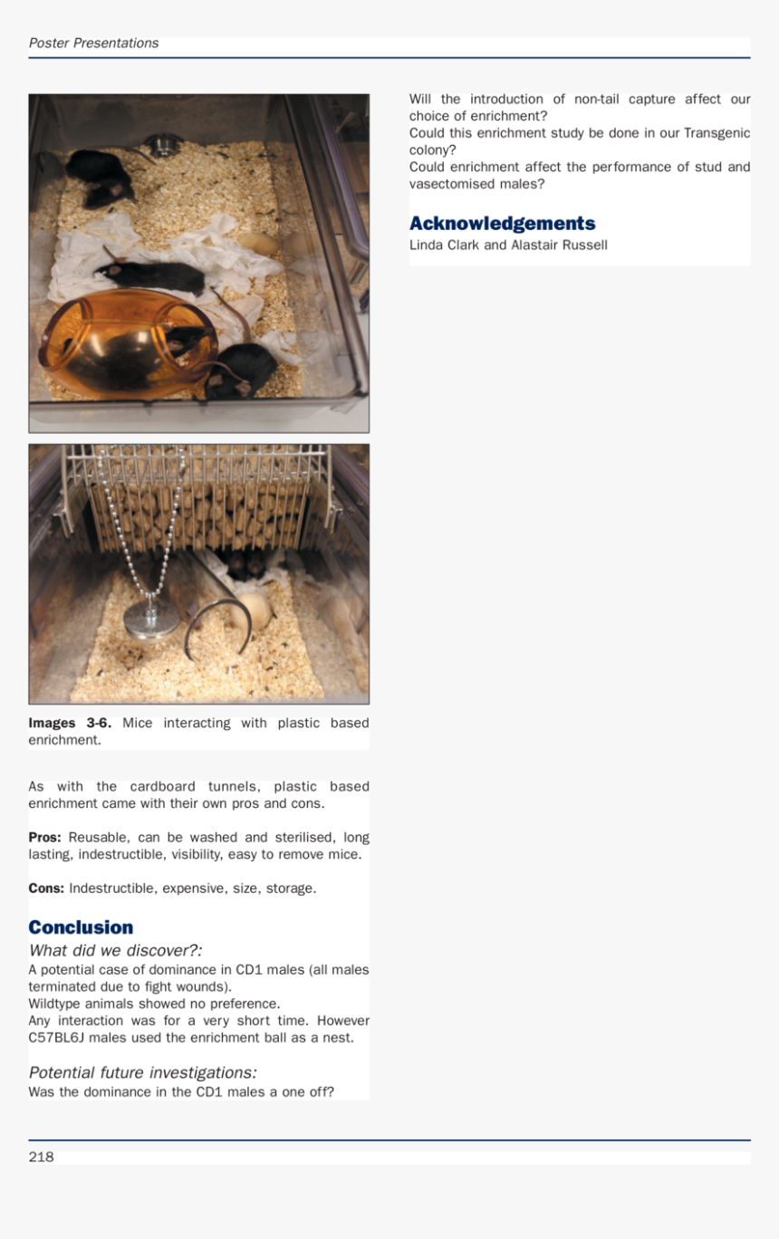 E S Animal Technology And Welfare 3 12 19 14 05 Page - Insect, HD Png Download
