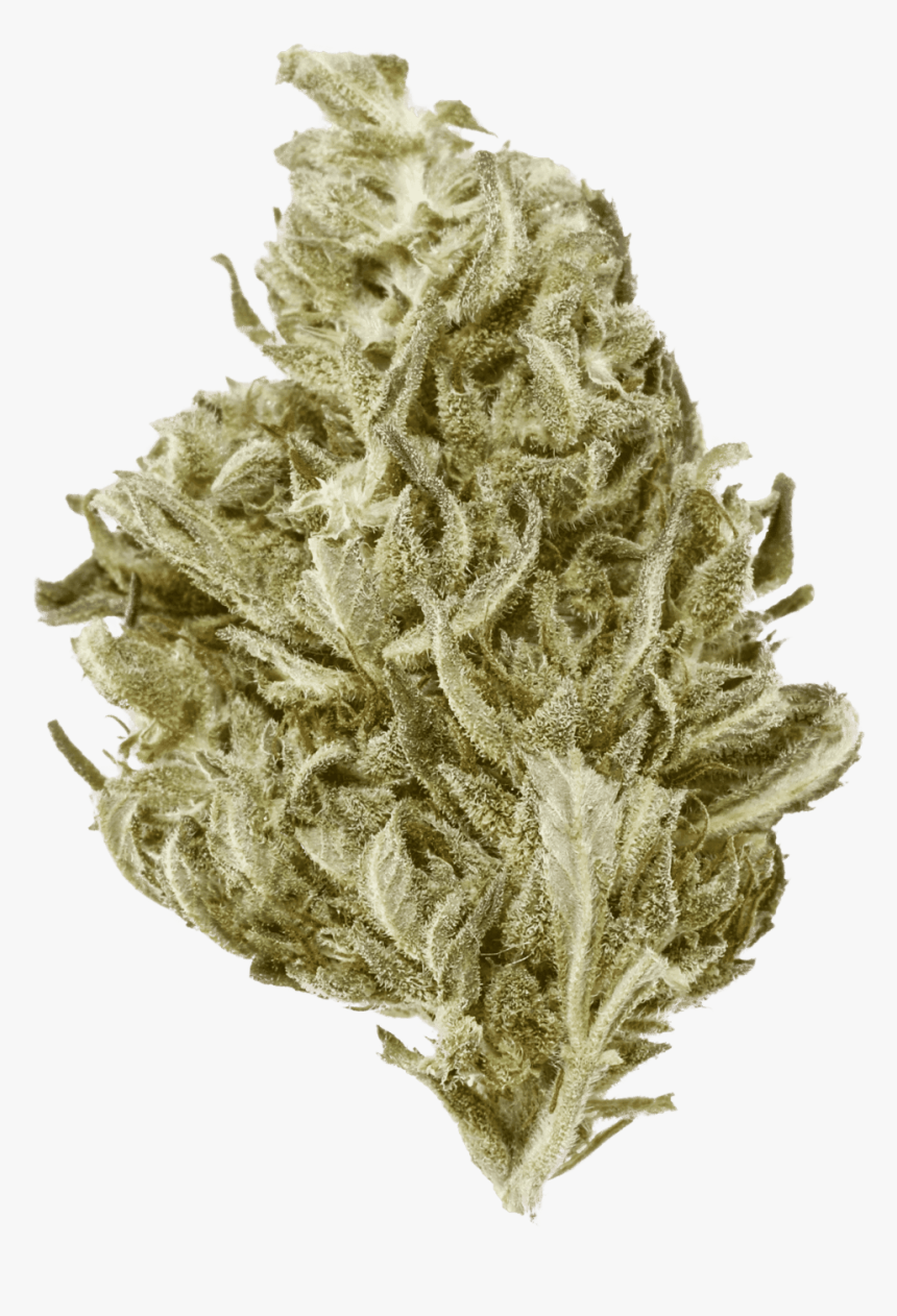 Herb, HD Png Download
