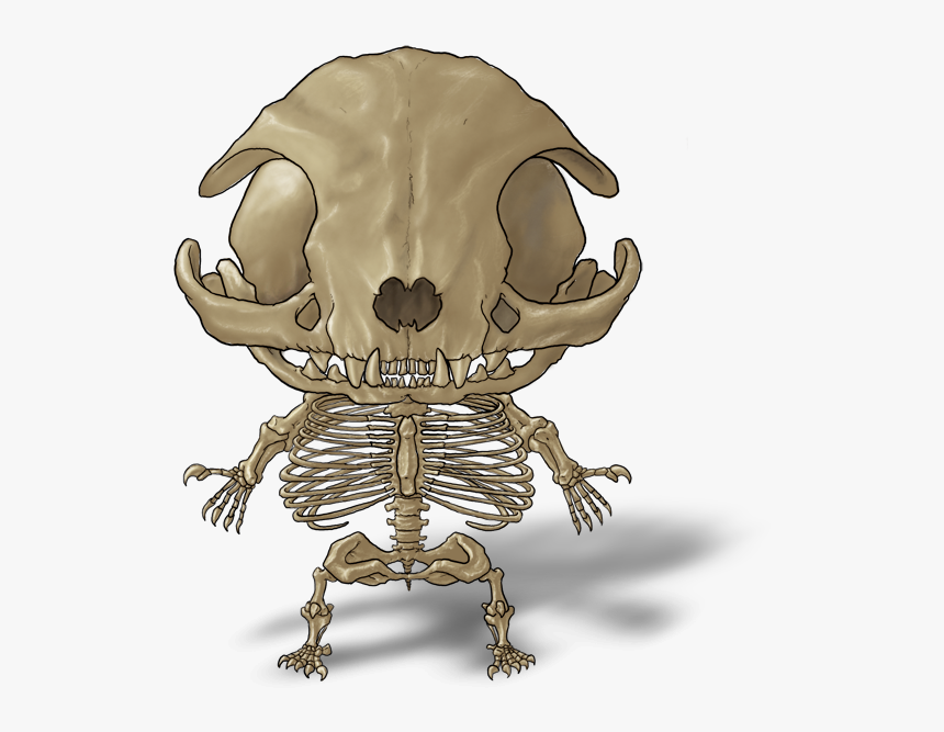 Smile, HD Png Download