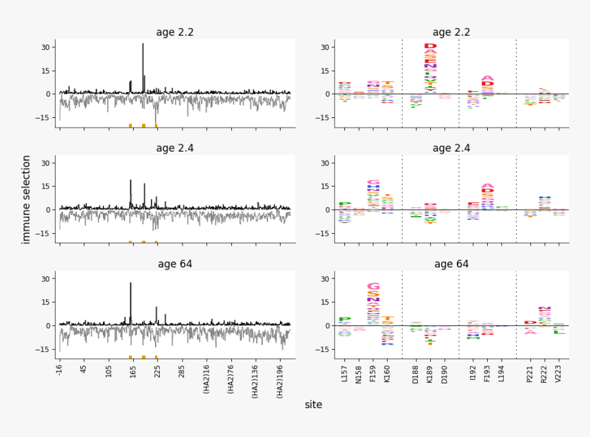 Images/negative Values 29 0 - Scuola Elementare Giulianello Di Cori, HD Png Download