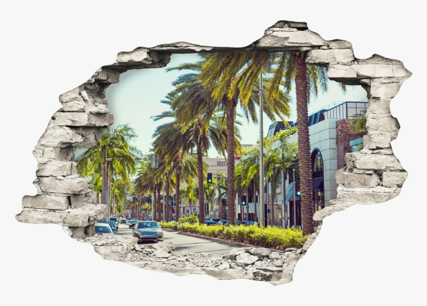 Rodoe Drive Palm Trees, HD Png Download