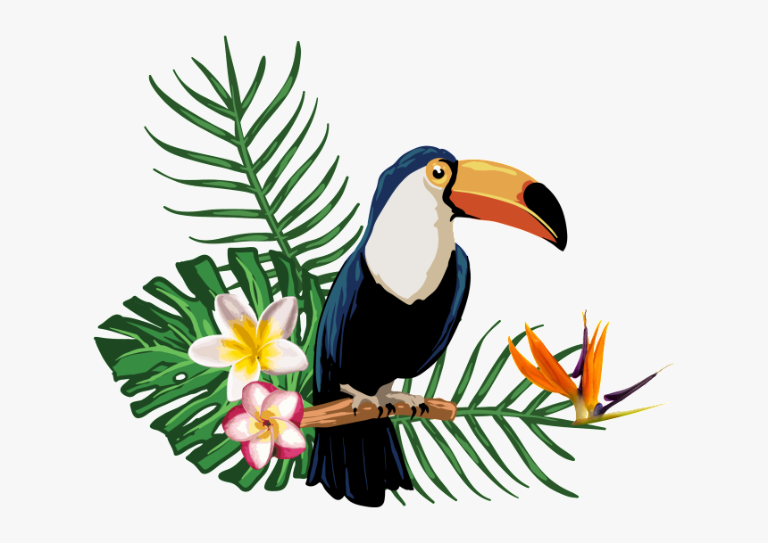 Summer Tropical Png, Transparent Png