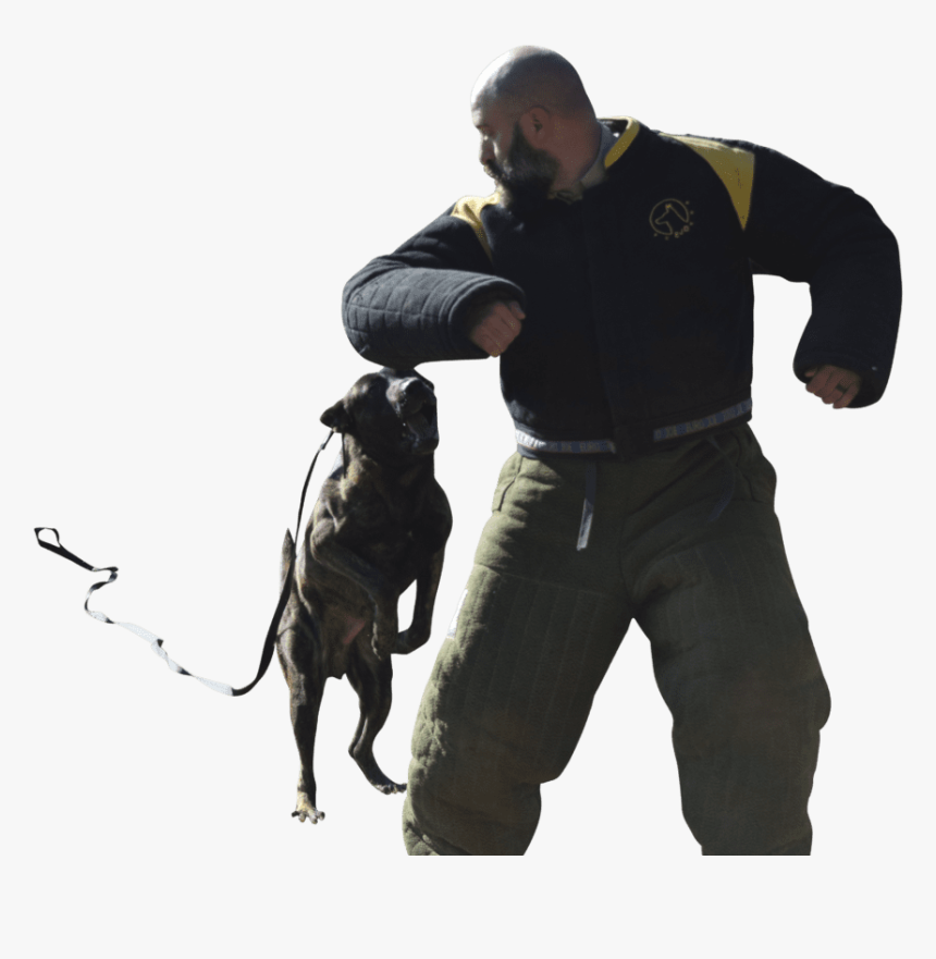 Police Dog, HD Png Download