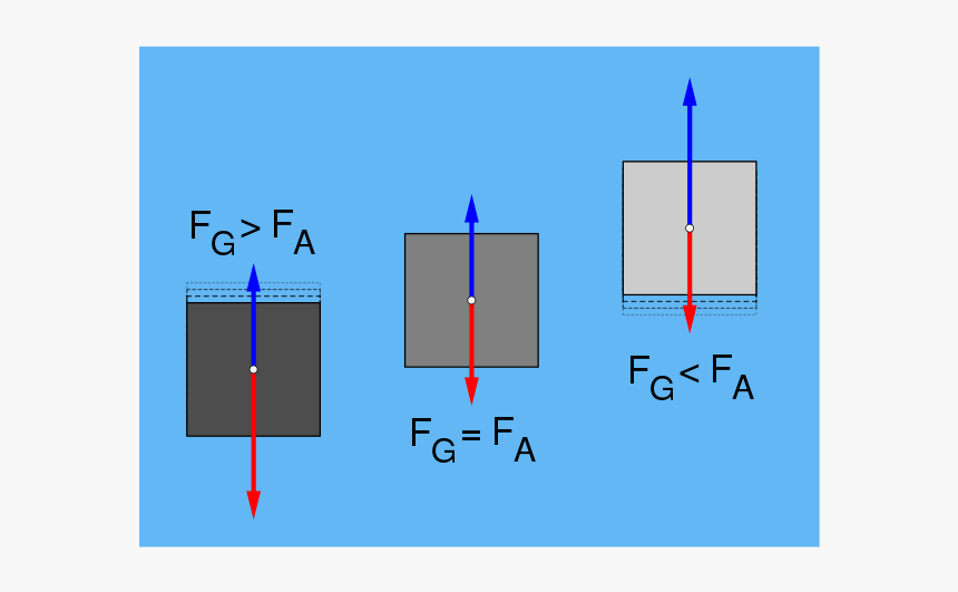 Floating And Sinking - Diagram Of Floating And Sinking, HD Png Download