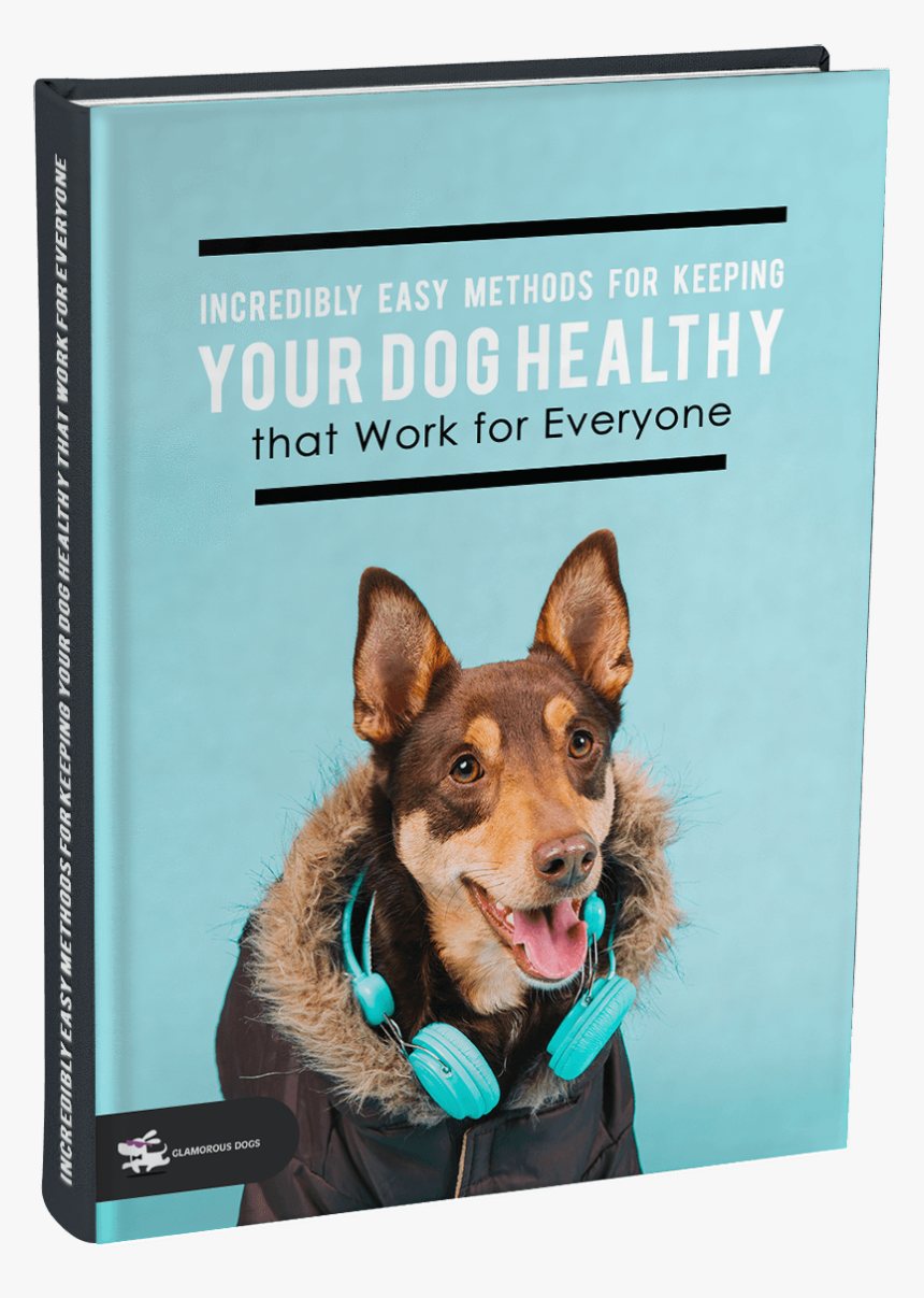 Incredibly Easy Methods For Keeping Your Dog Healthy - Police Dog, HD Png Download
