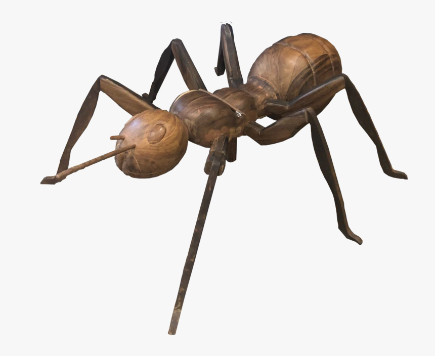 Ac 85 - Ant, HD Png Download