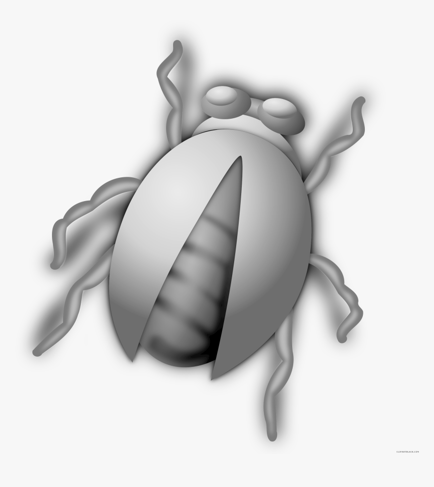 Transparent Hormiga Clipart - Bugs Clipart Png, Png Download