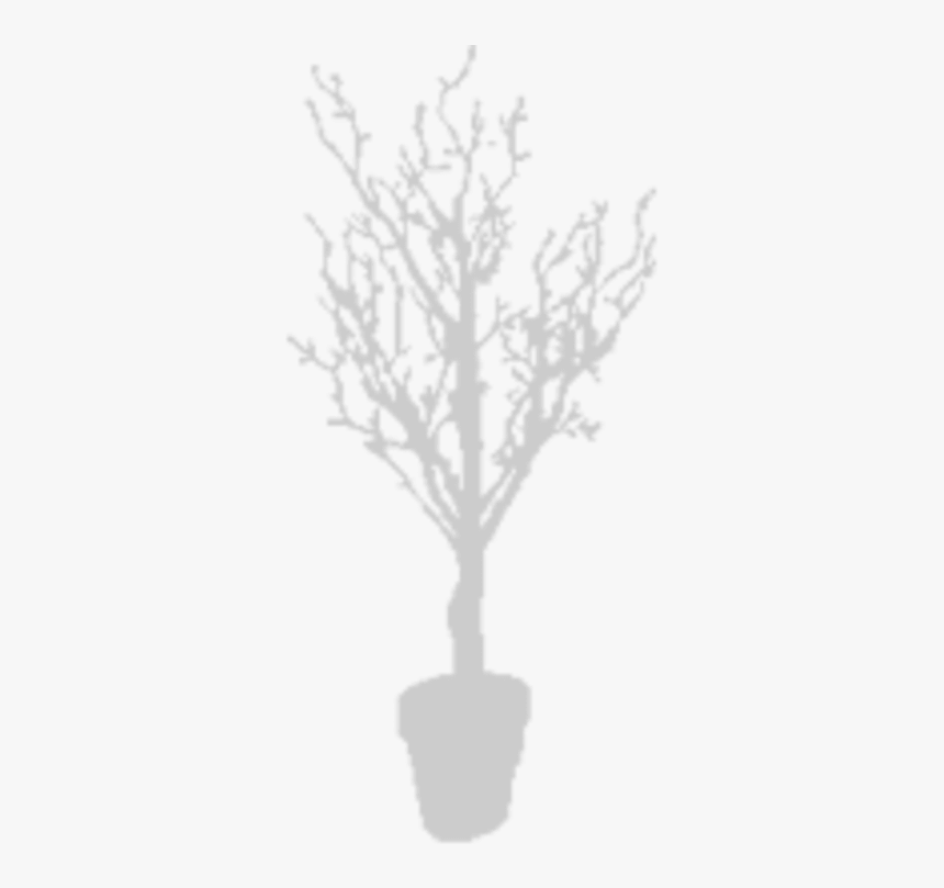 Houseplant, HD Png Download