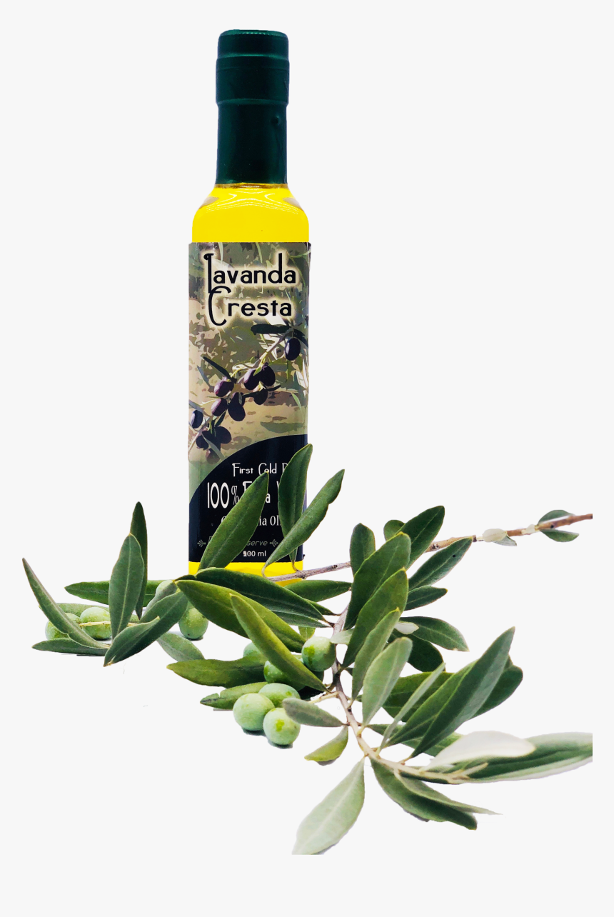 Jasmine, HD Png Download